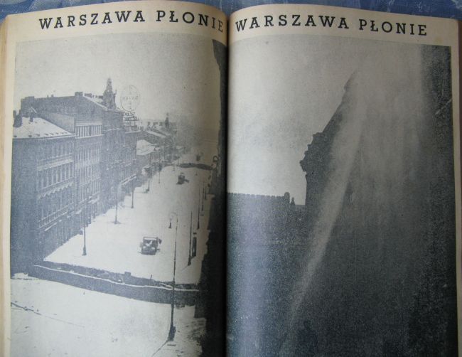 Warszawa ponie